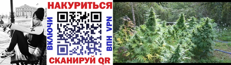 KRAKEN онион  Нефтеюганск  Шишки марихуана AK-47 